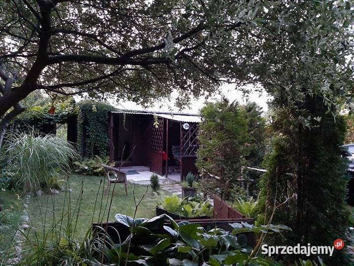 Działka ROD w Wolicy mazowieckie Wolica