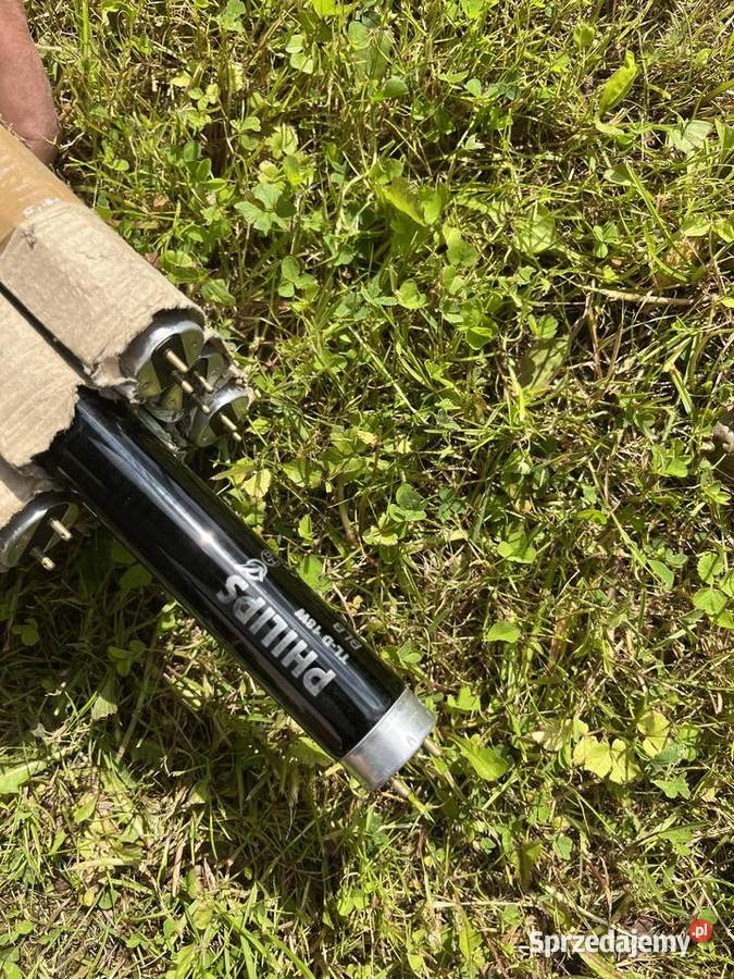 Świetlówka PHILIPS Blacklight Blue TLD108 BLB Nowogard