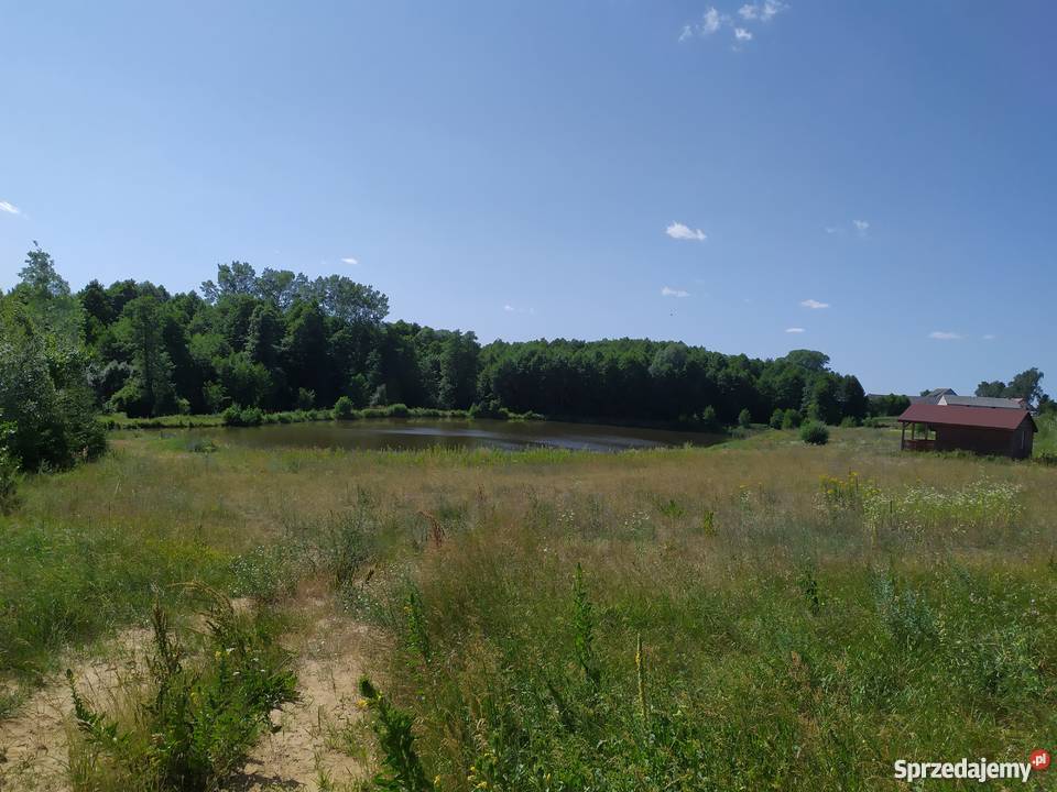 Duża działka ze stawem w okolicach Mławy mały woda Mława