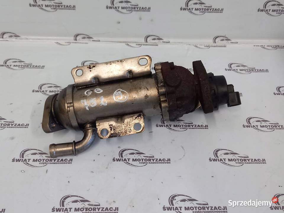 TRAFIC VIVARO PRIMASTAR 20 DCI M9R692 114 sprzedam
