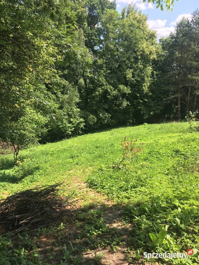 Działka budowlana z prywatnym lasem 18 arów Sprzedaż Rybna sprzedam