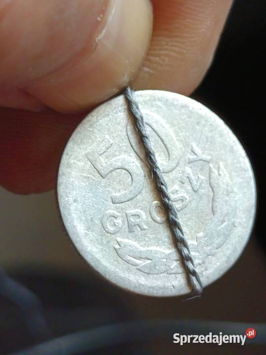 Sprzedam monetę 50 groszy 1957 mała skrętka jjjj Chełm