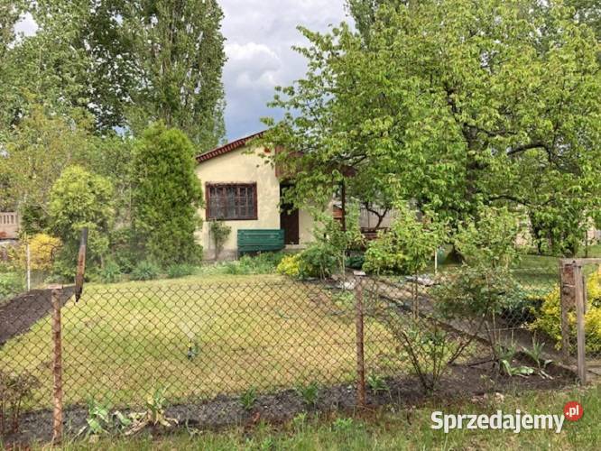 Działka rekreacyjna Rudak ROD Liliput Toruń