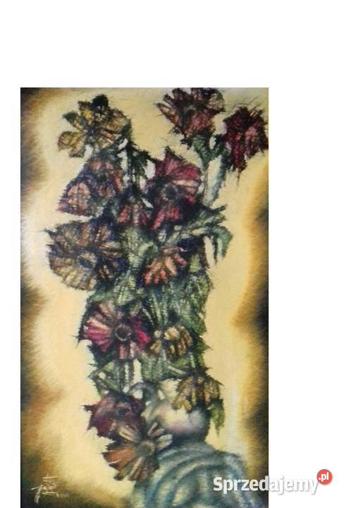 Cynie Fleszowe Magikalisty Jarosław