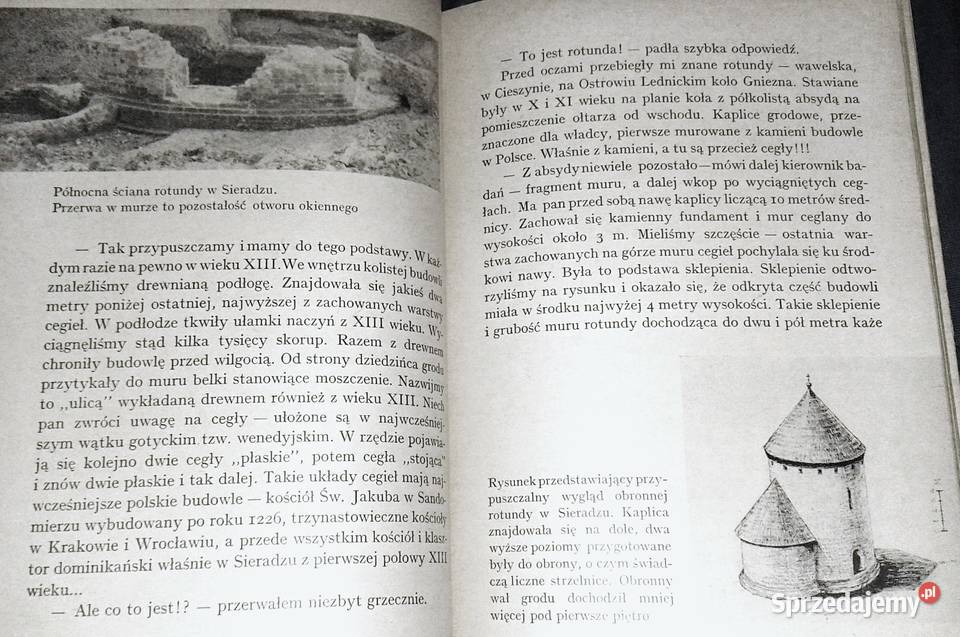 Spotkania z archeologią Krzysztof Nowiński Pozostałe Chełm sprzedam