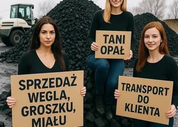 Węgiel Orzech, Kostka, Groszek, Miał, Koks Transport w całej Polsce