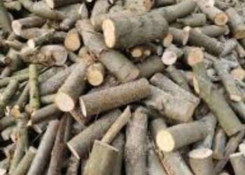 Gałęziówka I Drewno Kominkowe Dąb Buk Grab Brzoza Sosna Jesion SEZONOWANE