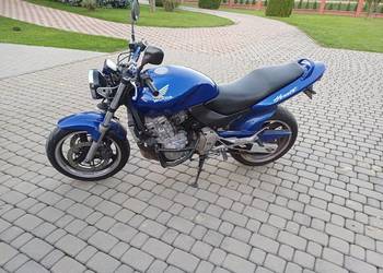 Sprzedam honda hornet