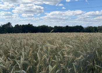 Działka rolna Radziszów gmina Skawina