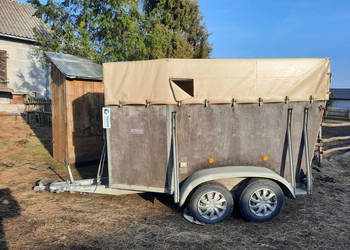 Przyczepa do przewozu koni WESTERIA VT 135 (DMC 1700 kg)