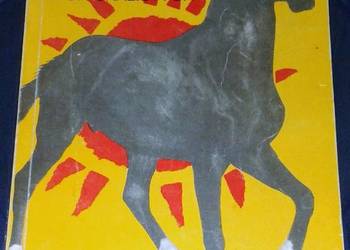 Indiański Napoleon Gór Skalistych - Arkady Fiedler, Marek Fiedler