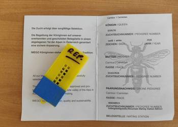 5+1 gratis KRAINKA matki pszczele TROISECK Pasieka Wolinia