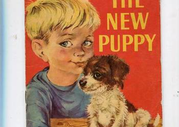 The new puppy nr 6