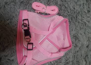 Szelki dla psa rozmiar l