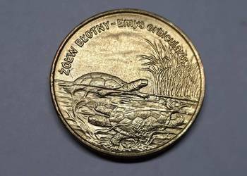 MONETA Polska 2 złote, 2002 Żółw błotny (002)