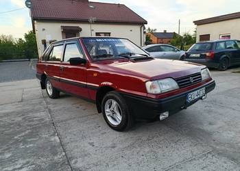 Polonez car
