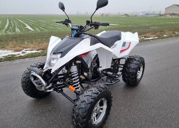 Quad EGL Mad Max 250cc  Kat B Zarejestrowany Ciecz Duża Rama !