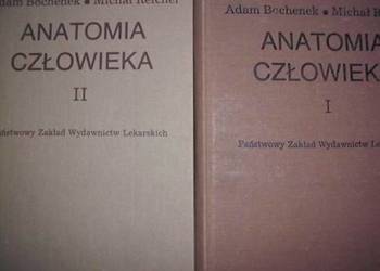 ANATOMIA CZŁOWIEKA PODRĘCZNIK DLA STUDENTÓW TOM I II