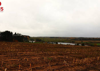 Działka 12000m2 Żegary