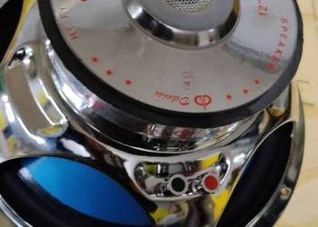 Głośnik niskotonowy Dibeisi. 600 waat . Uszkodzony.