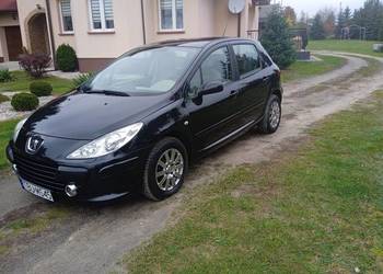 Peugeot 307. 1.6 - Benzyna.160.tys.przebieg .Super stan