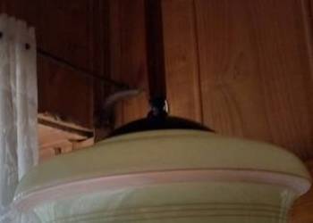 Wisząca lampa - ampla