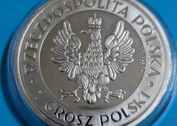 Moneta groszy polski