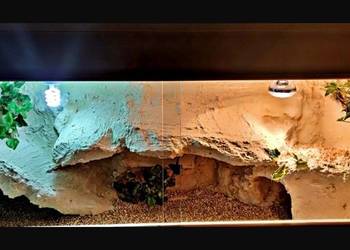 Terrarium pustynne dla gekona lamparciego agamy brodatej
