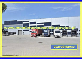 Nowa hala do wynajęcia Siemianowice Śląskie, rampa brama "0" biura socjal.