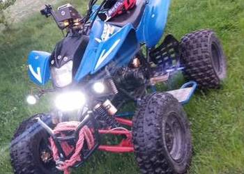 Bashan 250