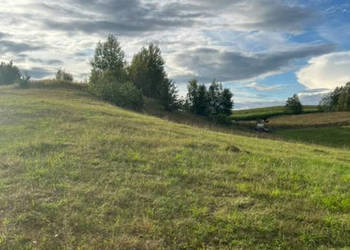 Do sprzedaży działka Hołny Wolmera 9503.17m2