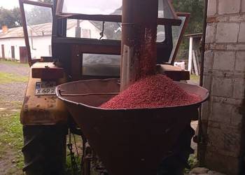 Zaprawiarka nasion zboża 200kg