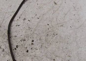 SONDA LAMBDA 1.5 B MAZDA 2 DJ P54A-188G1