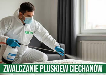 Zwalczanie pluskiew Ciechanów - Odpluskwianie, Dezynsekcja
