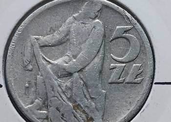 5 Złotych 1959 r. - Rybak - nr 5 - Skrętka