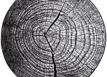 Dywan NOVO Strado nowoczesny pień drzewa do salonu szary wzór Szary Pień 9…