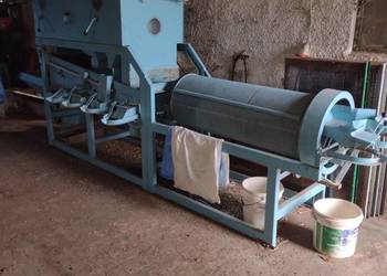 Jęczmień jary Florence