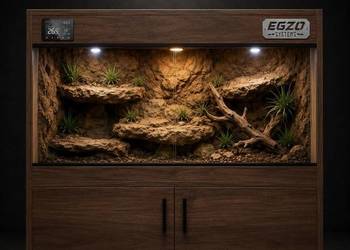 Terrarium dla agamy brodatej żółwia greckiego gekona lamparciego