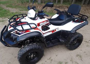 Quad Tgb Blade 550 Long * 4x4 * L7e * wciągarka * grzane manetki*