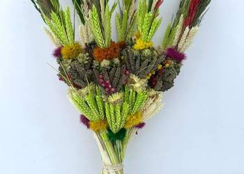 Palmy Wielkanocne, Palma 60cm, Palma 70cm, Palma kogut