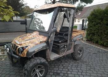 TNS - UV650A - BUGGY