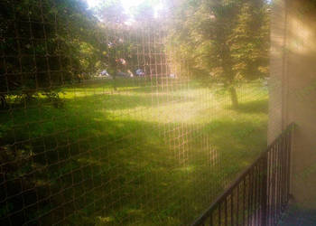 Kocia siatka bezinwazyjny montaż Warszawa Siatka Dla Kota Z Montażem