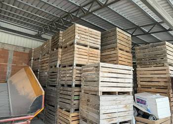 SKRZYNIOPALETY DO ZIEMNIAKÓW I WARZYW