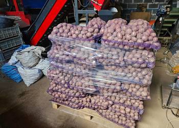 Ziemniaki sadzeniaki Baltic Rose świeże