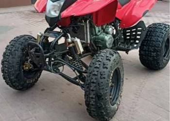 Bashan 250