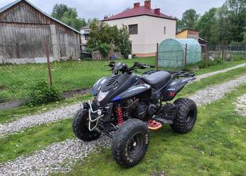 Quuad Dinli Lacki star 300 Duży !