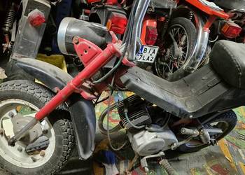 Motorynka stella zarejestrowana