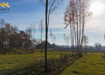 Dawidy – duża działka 0,5306 ha (WZ)