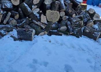 Sprzedam drewno opałowe