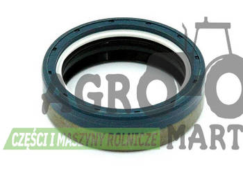 603653, 0013006940, 013006940, 13006940, 105958 USZCZELN 50x65x18 MANITOU